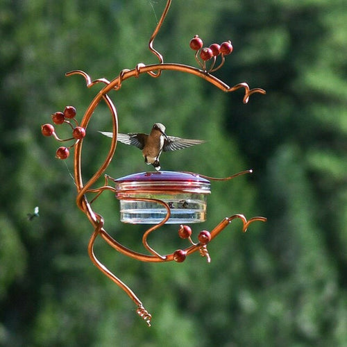 Hummingbird Feeder/Water Drinker - shopourstock