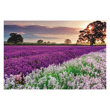 Load image into Gallery viewer, 1000 Pieces Jigsaw Puzzle Adult Art - shopourstock
